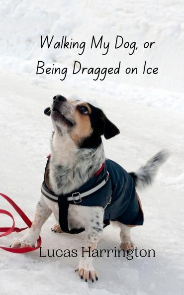 Walking My Dog or Being Dragged on Ice