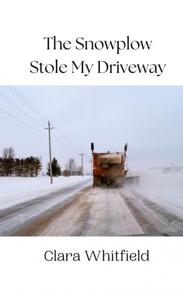 The Snowplow Stole My Driveway