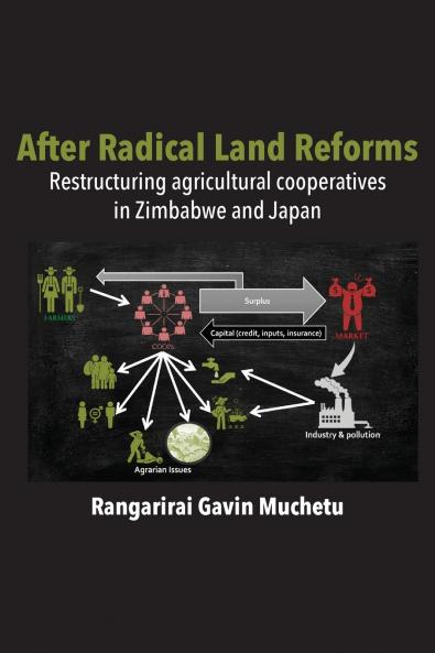 After Radical Land Reform