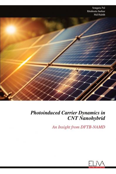 Photoinduced Carrier Dynamics in CNT Nanohybrid