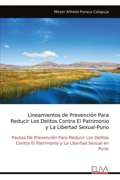 Lineamientos de Prevención Para Reducir Los Delitos Contra El Patrimonio y La Libertad Sexual-Puno