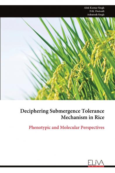 Deciphering Submergence Tolerance Mechanism in Rice