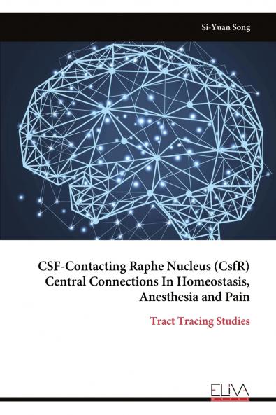 CSF-Contacting Raphe Nucleus (CsfR) Central Connections In Homeostasis Anesthesia and Pain