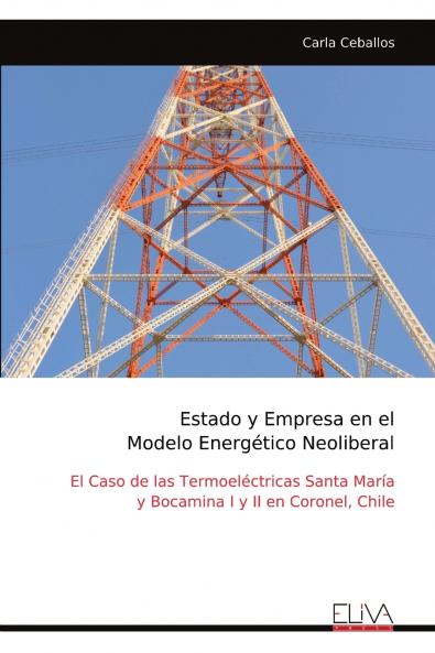 Estado y Empresa en el Modelo Energético Neoliberal