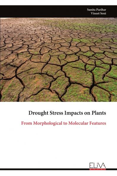 Drought Stress Impacts on Plants