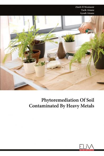 Phytoremediation Of Soil Contaminated By Heavy Metals