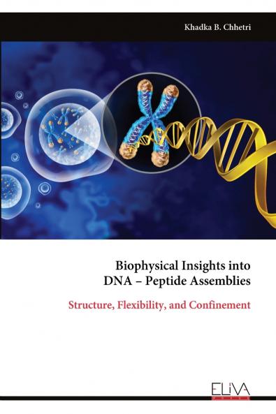 Biophysical Insights into DNA - Peptide Assemblies