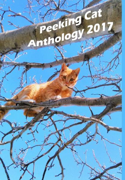 Peeking Cat Anthology 2017