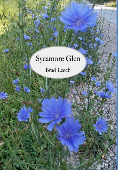 Sycamore Glen