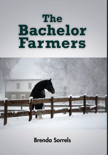 The Bachelor Farmers (Hardcover)