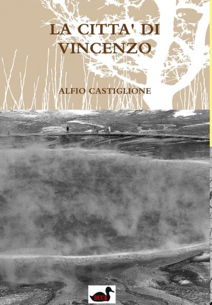 LA CITTA' DI VINCENZO