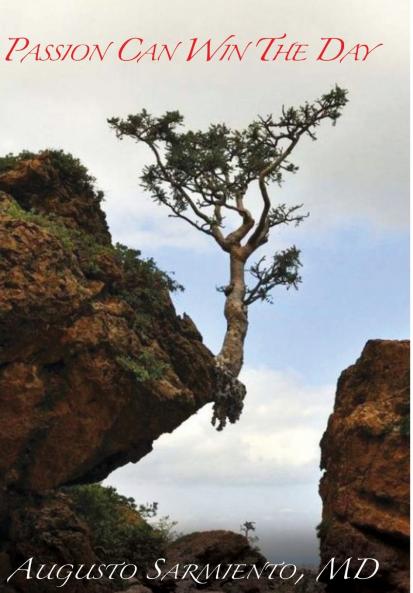 Passion Can Win The Day Hardcover