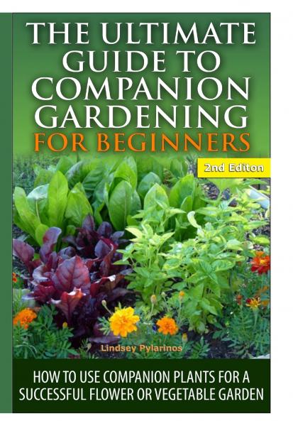 The Ultimate Guide to Companion Gardening for Beginners