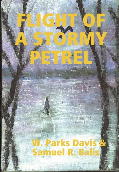 FLIGHT OF A STORMY PETREL