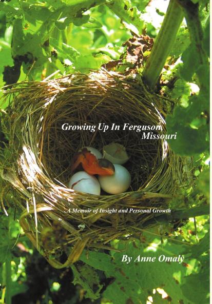 Growing Up in Ferguson Missouri