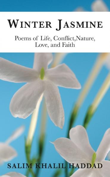 Winter Jasmine