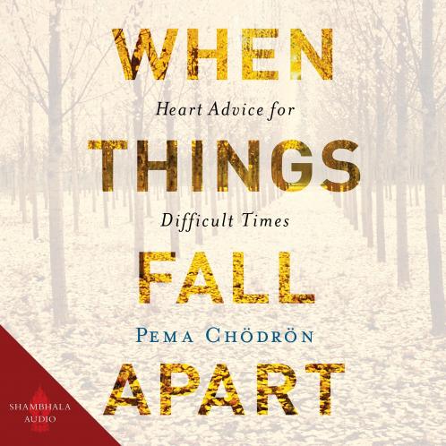 WHEN THINGS FALL APART