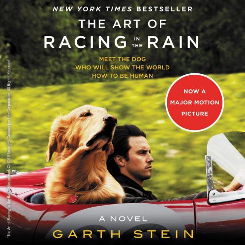 THE ART OF RACING IN THE RAIN