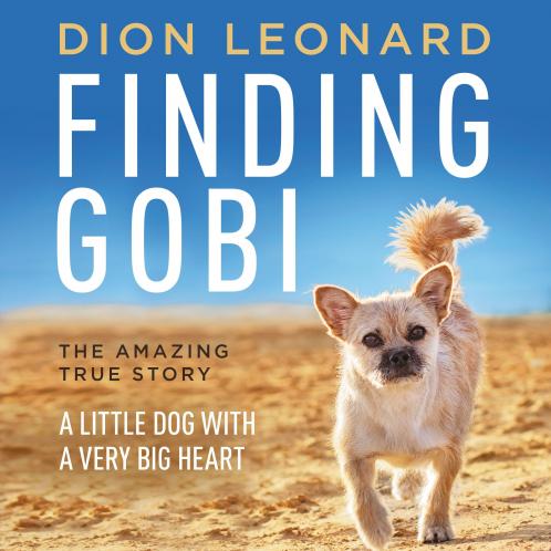 FINDING GOBI (MAIN EDITION)