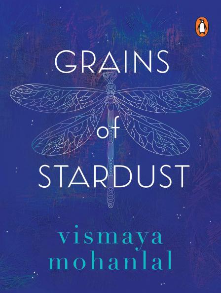 Grains of Stardust
