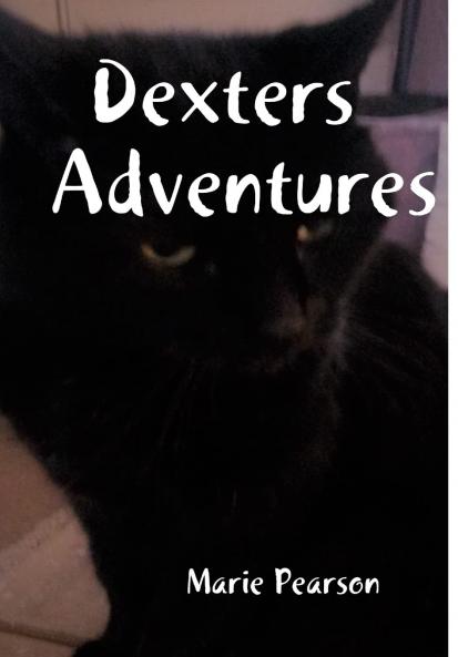 Dexters  Adventures