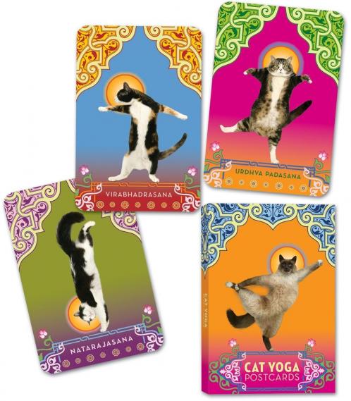 CAT YOGA POSTCARDS