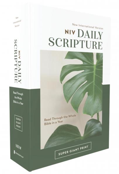 NIV DAILY SCRIPTURE SUPER GIANT PRINT PAPERBACK WHITE/GR