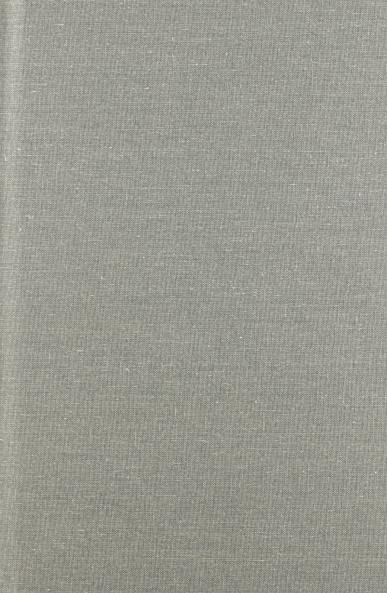 The Churches and the Third Reich Volume Two