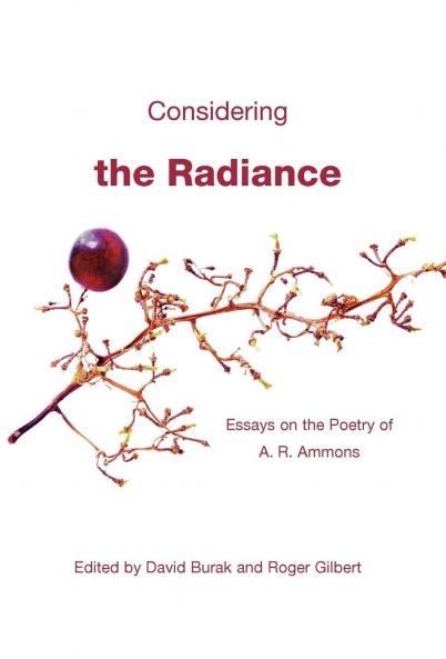 Considering the Radiance
