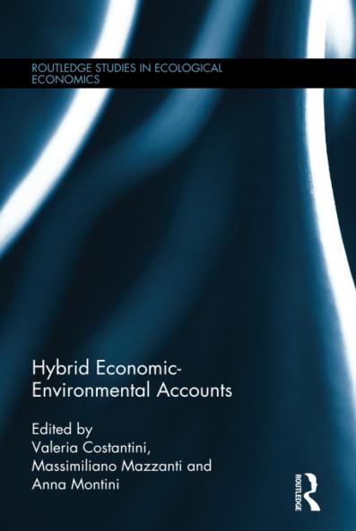 Hybrid Economic-Environmental Accounts