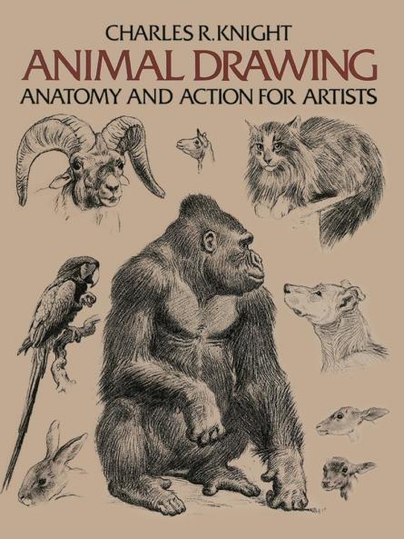 ANIMAL DRAWING: ANATOMY AND ACTION FOR ARTISTS