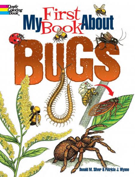 MY FIRST BOOK ABOUT BUGS