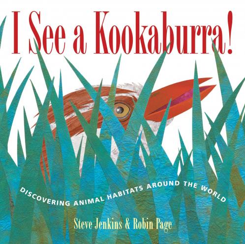I SEE A KOOKABURRA!