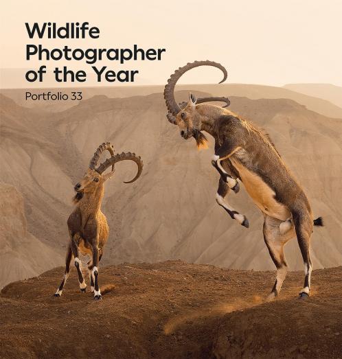 WILDLIFE PHOTOGRAPHER OF THE YEAR: PORTFOLIO 33