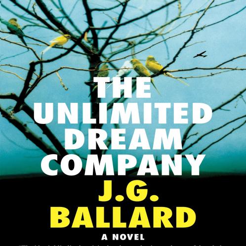 UNLIMITED DREAM COMPANY