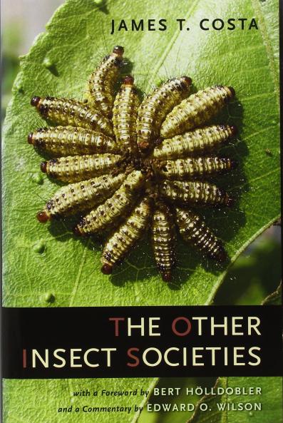 Other Insect Societies