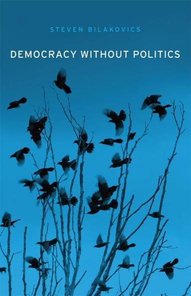 Democracy without Politics