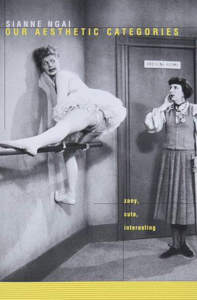 Our Aesthetic Categories