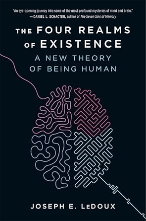 The Four Realms of Existence : A New Theory of Being Human