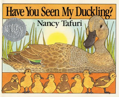 HAVE YOU SEEN MY DUCKLING?