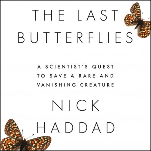 Last Butterflies