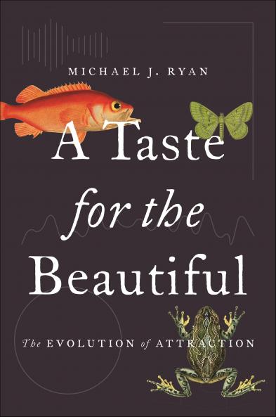 Taste for the Beautiful