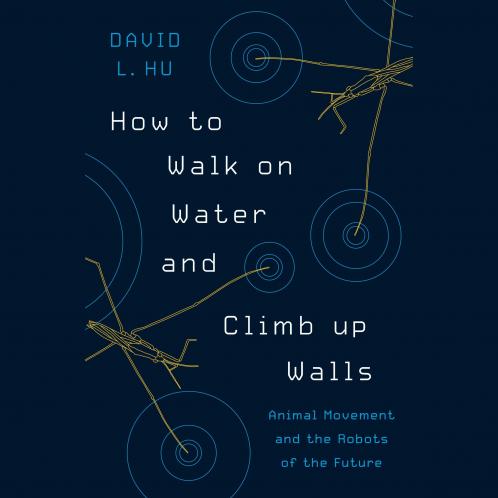 How to Walk on Water and Climb Up Walls