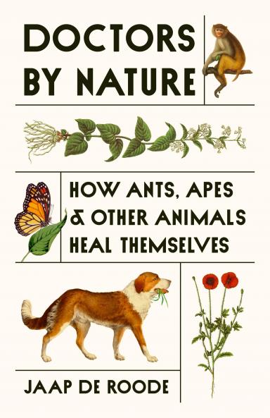 HOW ANTS APES AND OTHER ANIMALS HEAL THEMSELVES