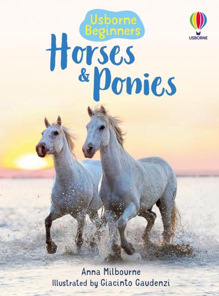 Beginners Horses and Ponies
