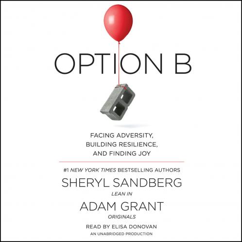 OPTION B : FACING ADVERSITY BUILDING RESILIENCE AND FINDING JOY