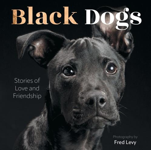 BLACK DOGS