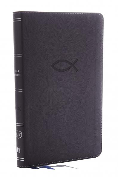KJV Thinline Bible Youth Edition Leathersoft Gray Red Le