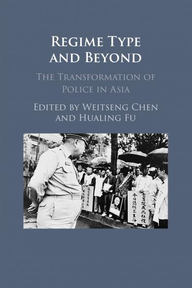 Regime Type and Beyond