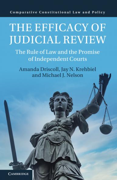 The Efficacy of Judicial Review